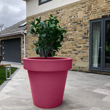 Load image into Gallery viewer, The 'Biggie' Plant Pot