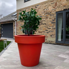 Load image into Gallery viewer, The 'Biggie' Plant Pot