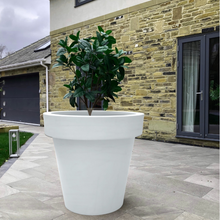 Load image into Gallery viewer, The 'Biggie' Plant Pot