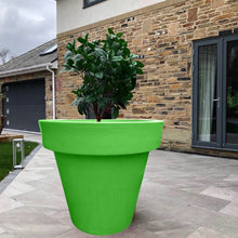 Load image into Gallery viewer, The 'Biggie' Plant Pot