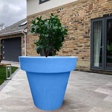 Load image into Gallery viewer, The 'Biggie' Plant Pot