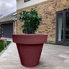 Load image into Gallery viewer, The 'Biggie' Plant Pot