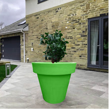 Load image into Gallery viewer, The 'Tubby' Plant Pot