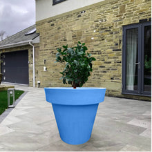 Load image into Gallery viewer, The 'Tubby' Plant Pot