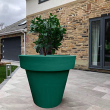 Load image into Gallery viewer, The 'Biggie' Plant Pot