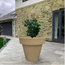 Load image into Gallery viewer, The 'Tubby' Plant Pot