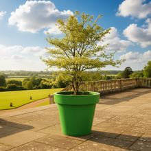 Load image into Gallery viewer, Boat Green Biggie extra large plant pot with architectural matt finish — durable outdoor tree planter perfect for public spaces, Made in the UK