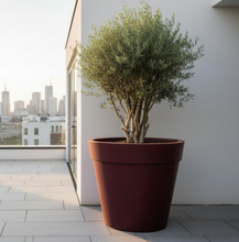 Load image into Gallery viewer, Burgundy Biggie extra large plant pot on a balcony with a city skyline — shatterproof heavy-duty outdoor tree planter, Made in the UK