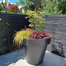 Load image into Gallery viewer, Matt Black Biggie extra large plant pot styled with ornamental shrubs against a modern slatted garden fence — architectural outdoor tree planter