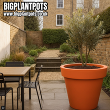 Load image into Gallery viewer, Orange Biggie extra large plant pot with a mature tree in an outdoor setting — heavy-duty frost-proof outdoor planter, Made in the UK