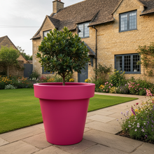 Load image into Gallery viewer, Pink Biggie extra large plant pot with a manicured bay tree on a flagstone path — statement outdoor planter against a traditional cottage garden