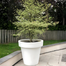 Load image into Gallery viewer, White Biggie extra large plant pot on a contemporary patio landscape — frost-proof impact-resistant architectural outdoor planter