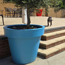 Load image into Gallery viewer, Light Blue Biggie extra large plant pot with architectural matt finish — premium frost-proof outdoor tree planter, Made in the UK