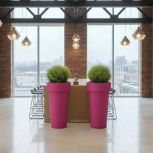Load image into Gallery viewer, Modern office interior with pink tall skinny planters and large windows.