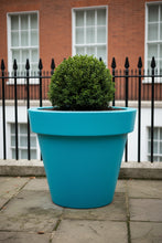 Load image into Gallery viewer, The 'Tubby' Plant Pot