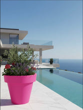 Load image into Gallery viewer, The 'Tubby' Plant Pot