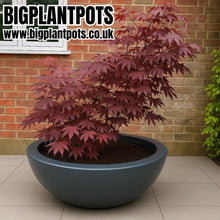 Load image into Gallery viewer, The 'Curvy' Plant Pot - 120cm Wide