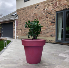 Load image into Gallery viewer, The 'Tubby' Plant Pot