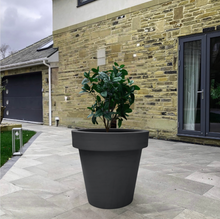 Load image into Gallery viewer, The 'Tubby' Plant Pot