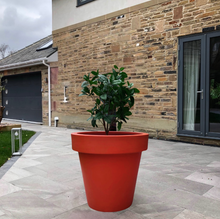 Load image into Gallery viewer, The 'Tubby' Plant Pot