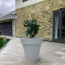 Load image into Gallery viewer, The 'Tubby' Plant Pot