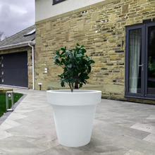 Load image into Gallery viewer, The 'Tubby' Plant Pot