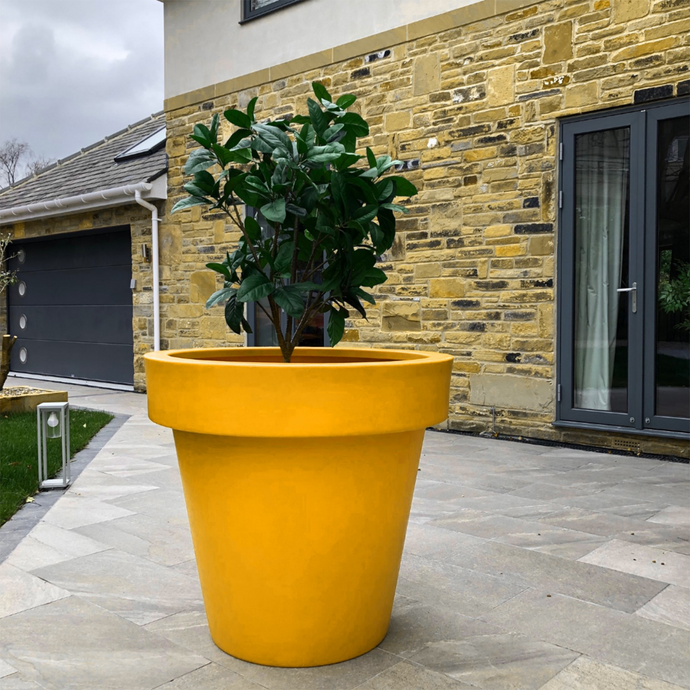 The benefits of using an extra large plant pot for deeper root growth