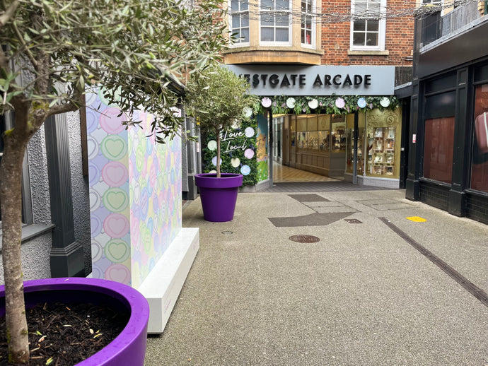 THE BEAUTIFICATION OF YOUR TOWN CENTRE WITH BIGPLANTPOTS