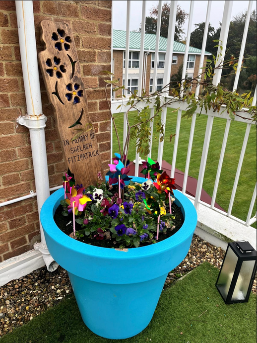 BIGPLANTPOTS, BRINGING TOGETHER NATURE AND MEMORY.