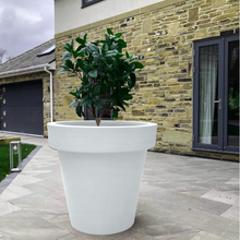 Load image into Gallery viewer, &#39;The Biggie&#39; Plant Pot

