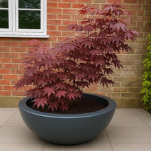 Load image into Gallery viewer, The 'Curvy' Plant Pot - 120cm Wide
