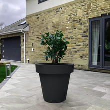 Load image into Gallery viewer, The &#39;Tubby&#39; Plant Pot
