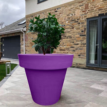 Load image into Gallery viewer, &#39;The Biggie&#39; Plant Pot
