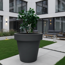 Load image into Gallery viewer, Anthracite Grey Biggie extra large plant pot housing a mature tree in a modern courtyard patio — heavy-duty shatterproof outdoor planter
