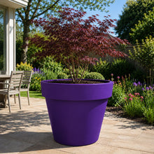 Load image into Gallery viewer, Purple Biggie extra large plant pot 91cm tall with an olive tree — stackable frost-proof outdoor planter, Made in the UK
