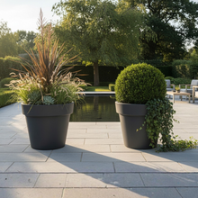 Load image into Gallery viewer, The 'Tubby' Plant Pot
