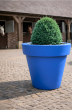 Load image into Gallery viewer, A bright blue conical planter pot holding a neatly trimmed green topiary tree, set on a cobblestone courtyard in front of a stable with horses visible in the background.
