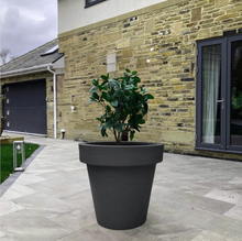 Load image into Gallery viewer, The &#39;Tubby&#39; Plant Pot
