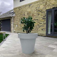 Load image into Gallery viewer, The &#39;Tubby&#39; Plant Pot
